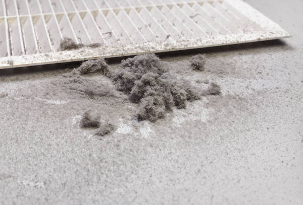 Best Affordable Duct Cleaning Services  in Oswego, IL