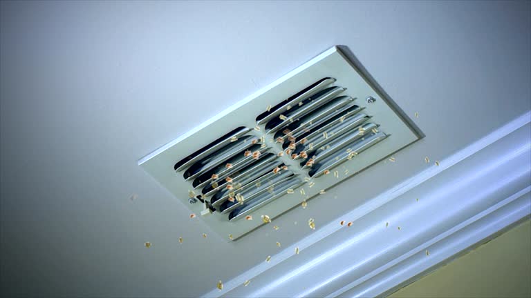 Best HVAC System Cleaning  in Oswego, IL
