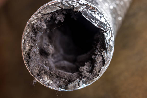 Best HVAC Duct Inspection Services  in Oswego, IL